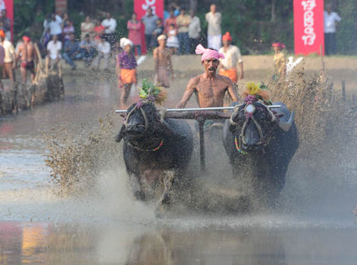kambala12dec2 4